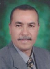 محمد عبد الفتاح السيد عرب