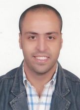 محمد عاطف محمد حسن المصرى