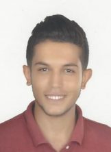 محمد حسن السيد حسن السيد