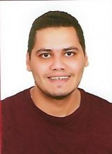 محمد السيد محمد السيد محمود الزيات